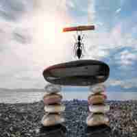 定﻿制﻿深﻿度﻿学﻿习​教‌程﻿